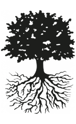 Erasmy Pompes Funèbres